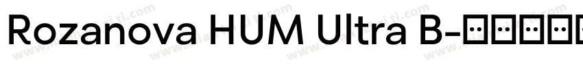 Rozanova HUM Ultra B字体转换